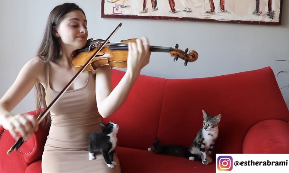 Esther Abrami ist eine Virtuosin an der Violine (Quelle: Esther Abrami)